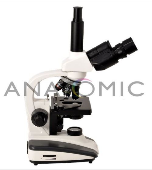 Microsc�pio Binocular Tim-2008 - ANATOMIC