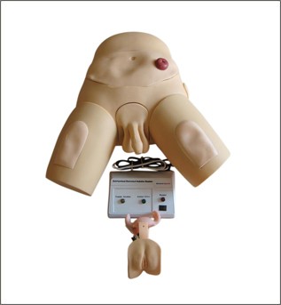 E- Simulador P/Cateterizacao Bissexual Tgd-4008 - ANATOMIC