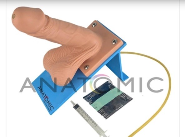 Pênis Tamanho Natural com Ejaculação TGD-0355-S- ANATOMIC