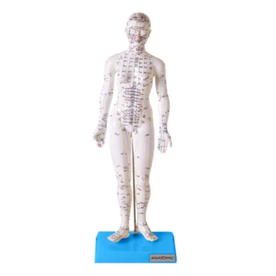 E- ACUPUNTURA 50 CM FEMININO TGD-0402 ANATOMIC